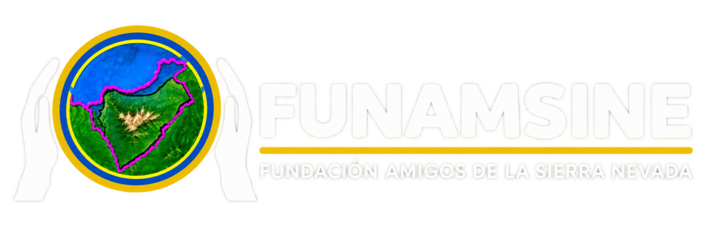 funamsine.org